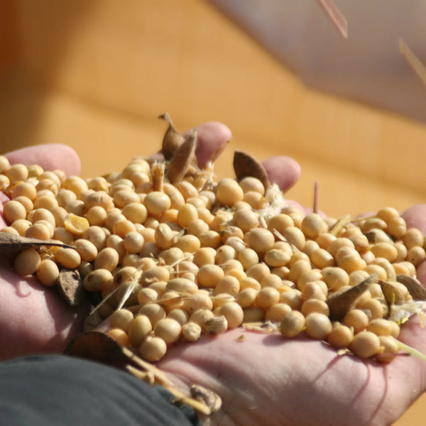 Adachi Aged Koji Rice Miso Naturally Fermented Miso Paste 500g