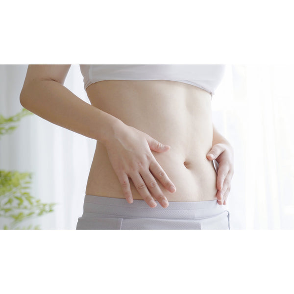 DHC New Slim Diet Support Supplement 80 Capsules (For 20 Days)