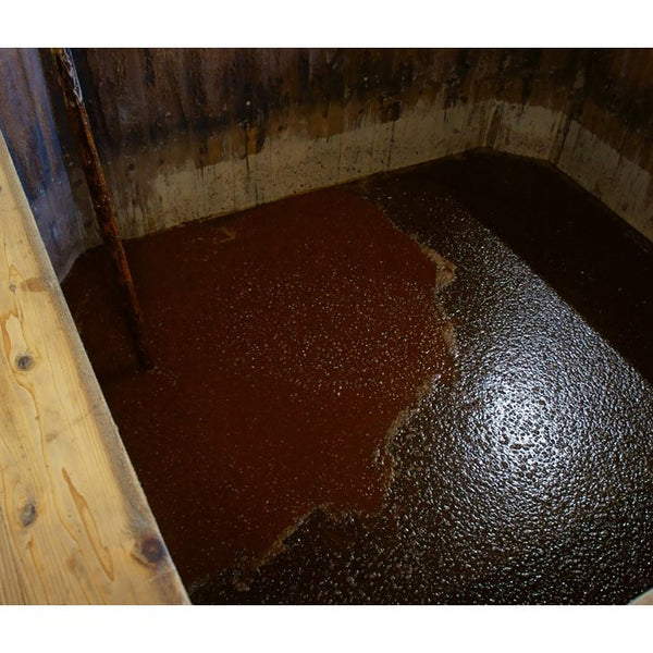 Daitoku Organic Dashi Shoyu Japanese Dashi Soy Sauce 200ml