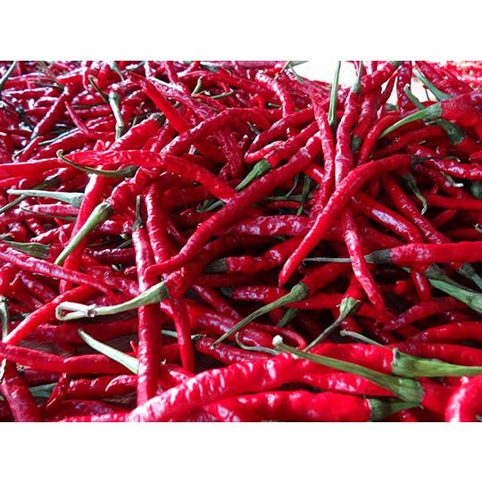 Imakawa Red Chili Pepper Spicy Vinegar 150ml