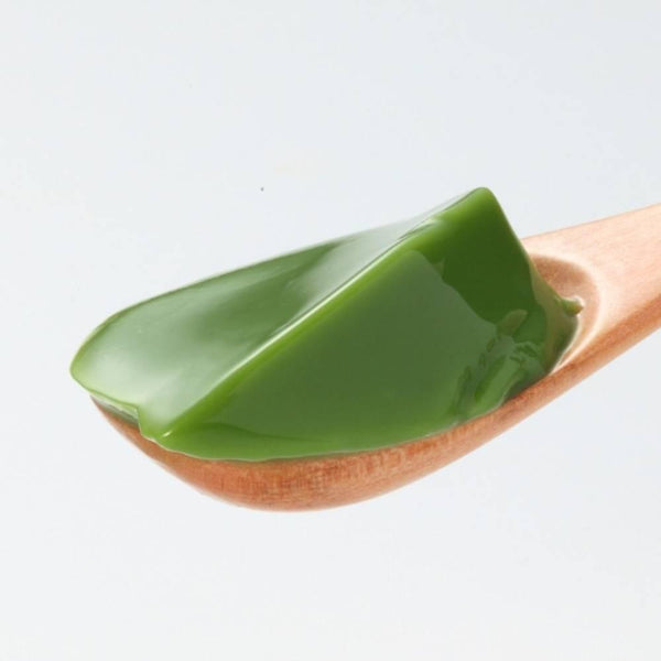 Morihan Matcha Pudding Mix Professional Use 500g