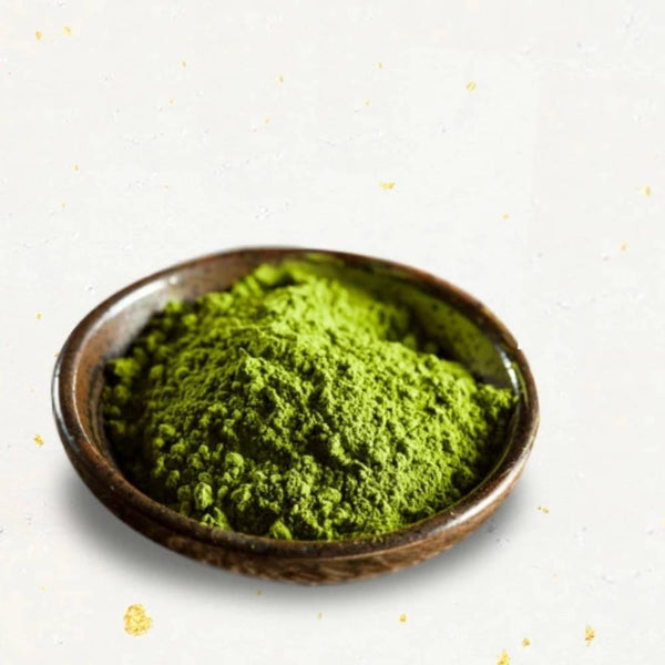 Morihan Matcha Pudding Mix Professional Use 500g