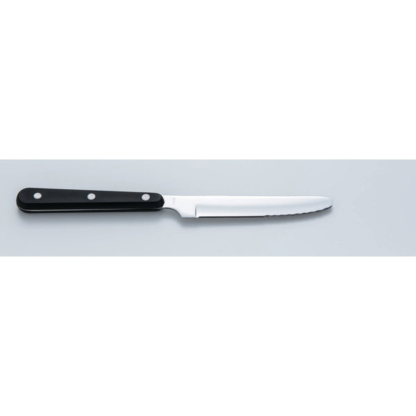 Seki Kanetsugu Japanese Steak Knife ST-500