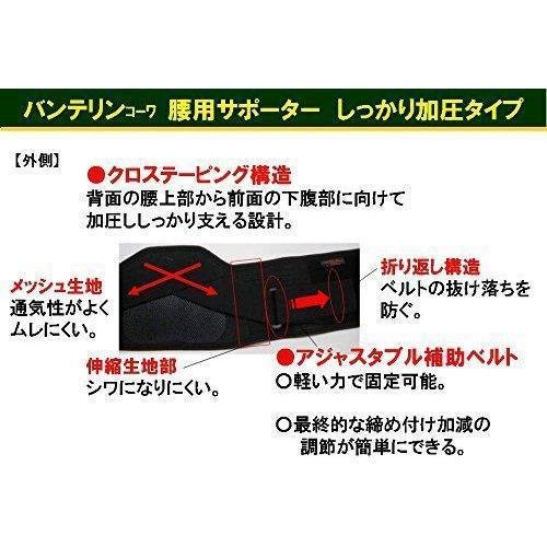 Kowa Vantelin Lower Back Belt Supporter Large Size