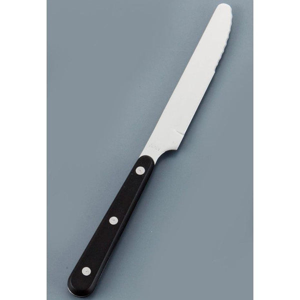 Seki Kanetsugu Japanese Steak Knife ST-500