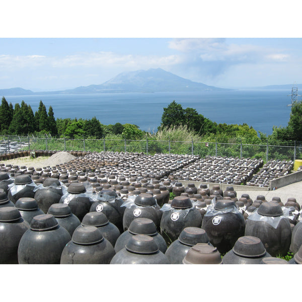 Marushige Blueberry Premium Drinking Vinegar 500ml