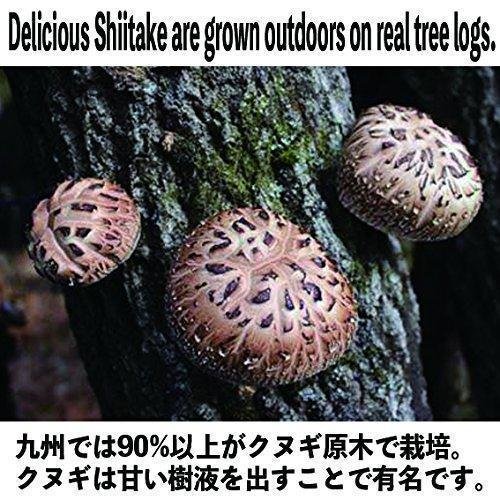 Sugimoto Dried Organic Japanese Shiitake Mushrooms 70g