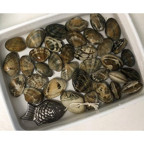 Toribe Tetsu no Kenko Tai Cast Iron Fish for Cooking