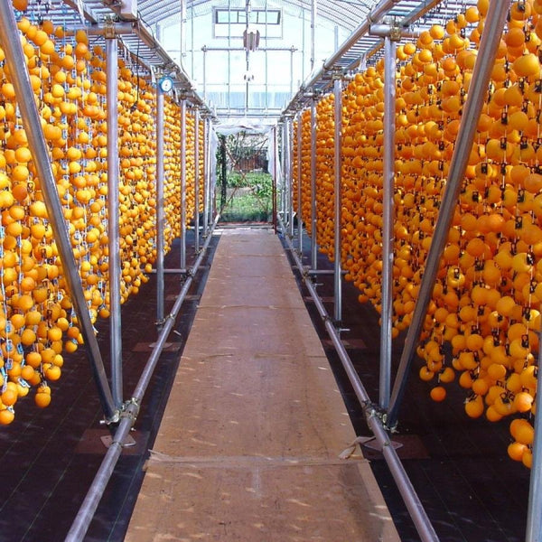 Premium Hoshigaki Dried Persimmon Sticks Natural Healthy Snack 25g