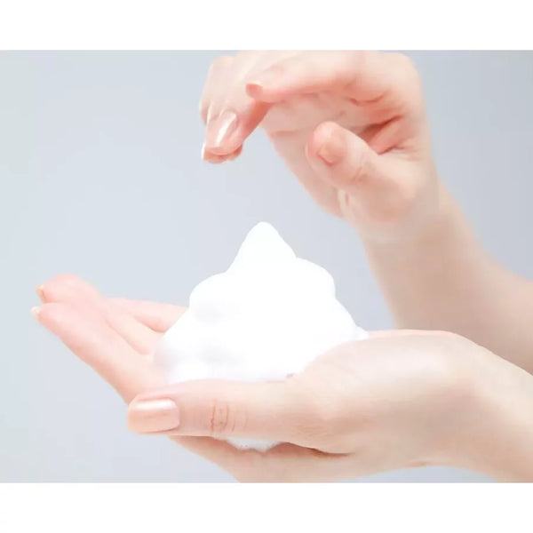 Reihaku Hatomugi Face Wash The W Cleansing Foam 130g