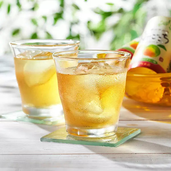 Tokiwa Ume Flavored Japanese Drinking Vinegar Premix Drink 125ml