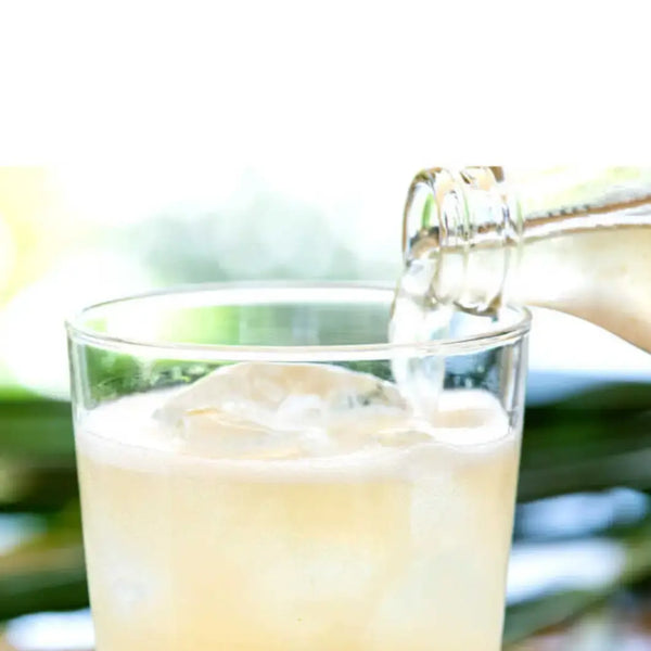 Tosayama-Extra-Spicy-Ginger-Ale-Premium-Organic-Craft-Soda-200ml-2-2026-04-08T04:24:30.559Z.webp