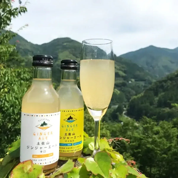 Tosayama-Extra-Spicy-Ginger-Ale-Premium-Organic-Craft-Soda-200ml-4-2026-04-08T04:24:30.561Z.webp