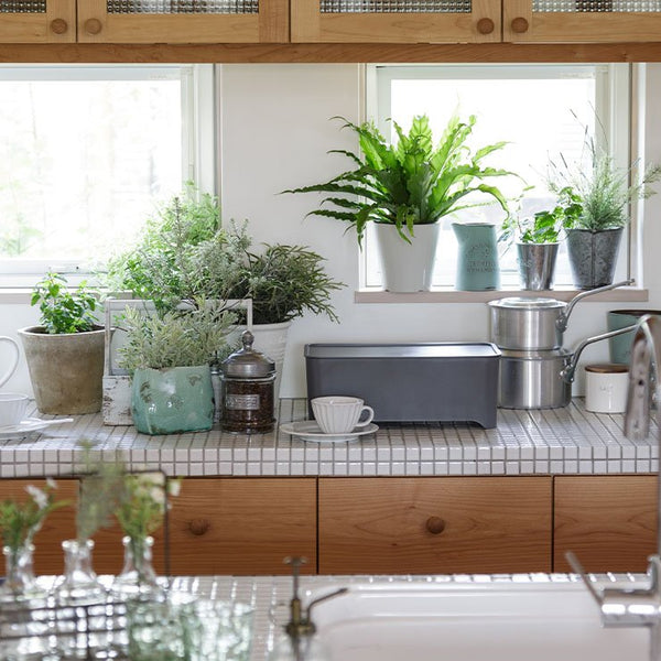 Wahei Freiz Compact Multi Functional Dish Drainer Dish Drying Rack