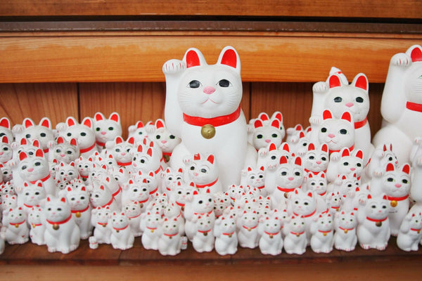 Maneki Neko Guide: Meaning, Colors, Paws & Placement
